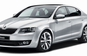 Аренда Skoda Octavia в Чебоксары